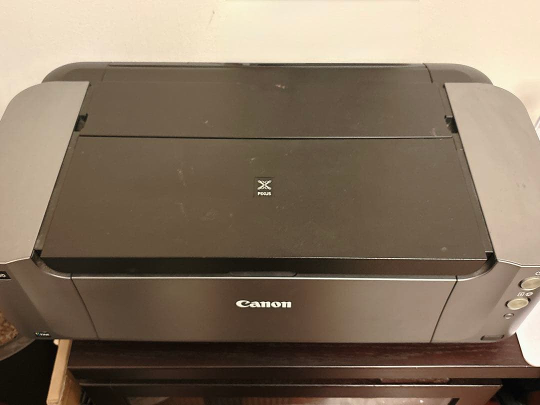 Canon PIXUS PRO-100 インクジェットプリンター　動作確認済