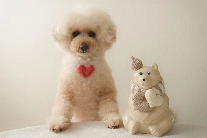 【オーダーページ】しろくま貯金箱＊バレンタイン・ホワイトデー