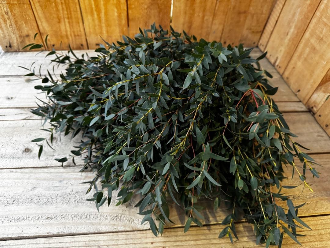 39❤︎1/7まで発送不可様 リクエスト 7点 まとめ商品