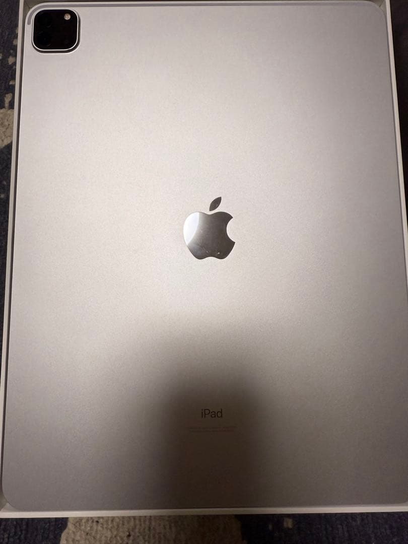 【美品・交換済本体】iPad Pro 12.9 第5世代 シルバー 256GB
