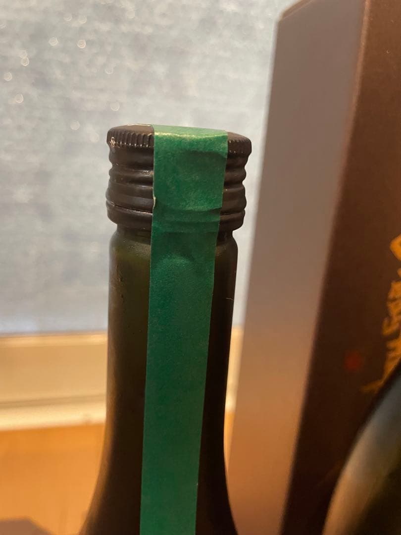 2024新政ヴィリジアン