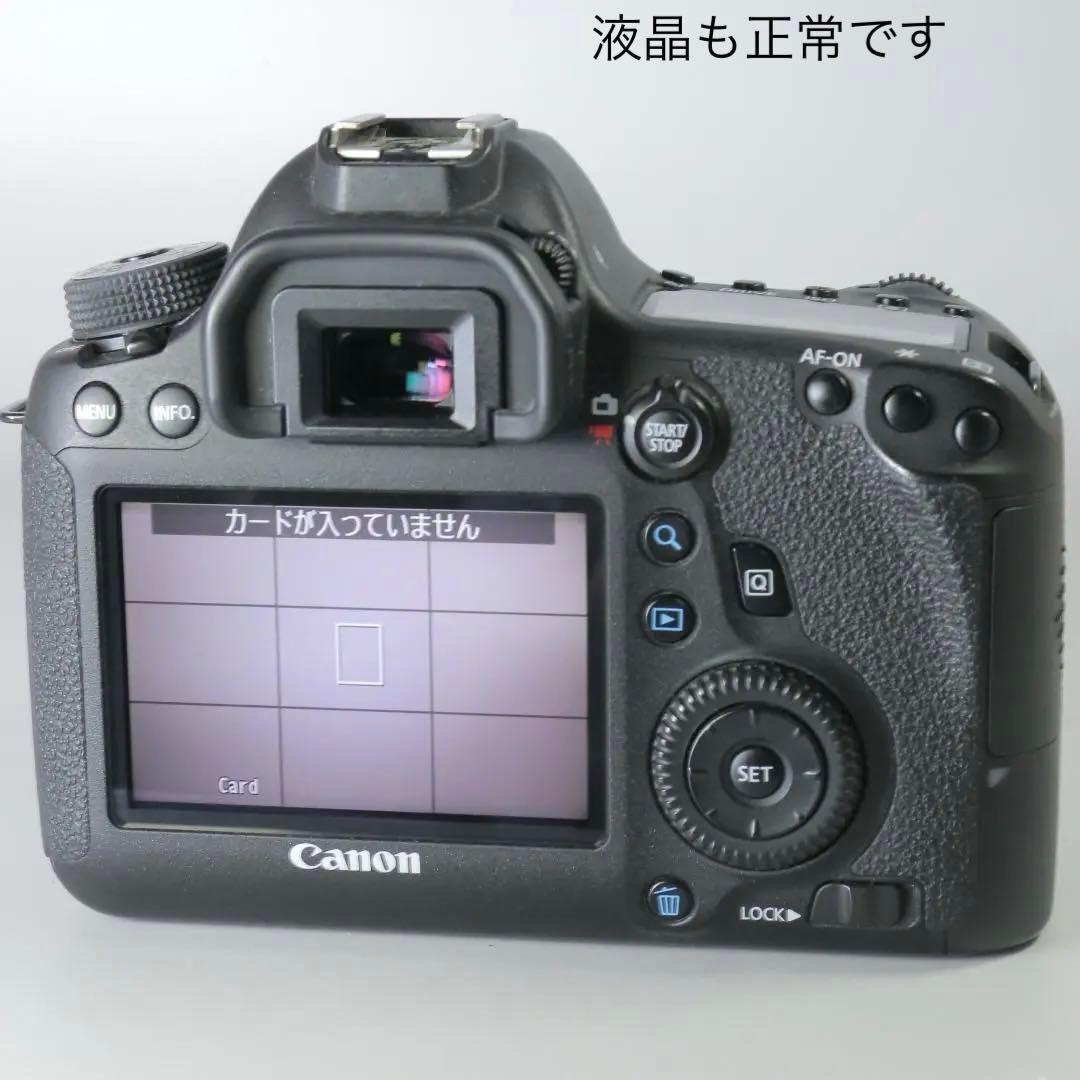 ☆ショット22272回☆美品 Canon 6D 50ｍｍ F1.4 ＃250
