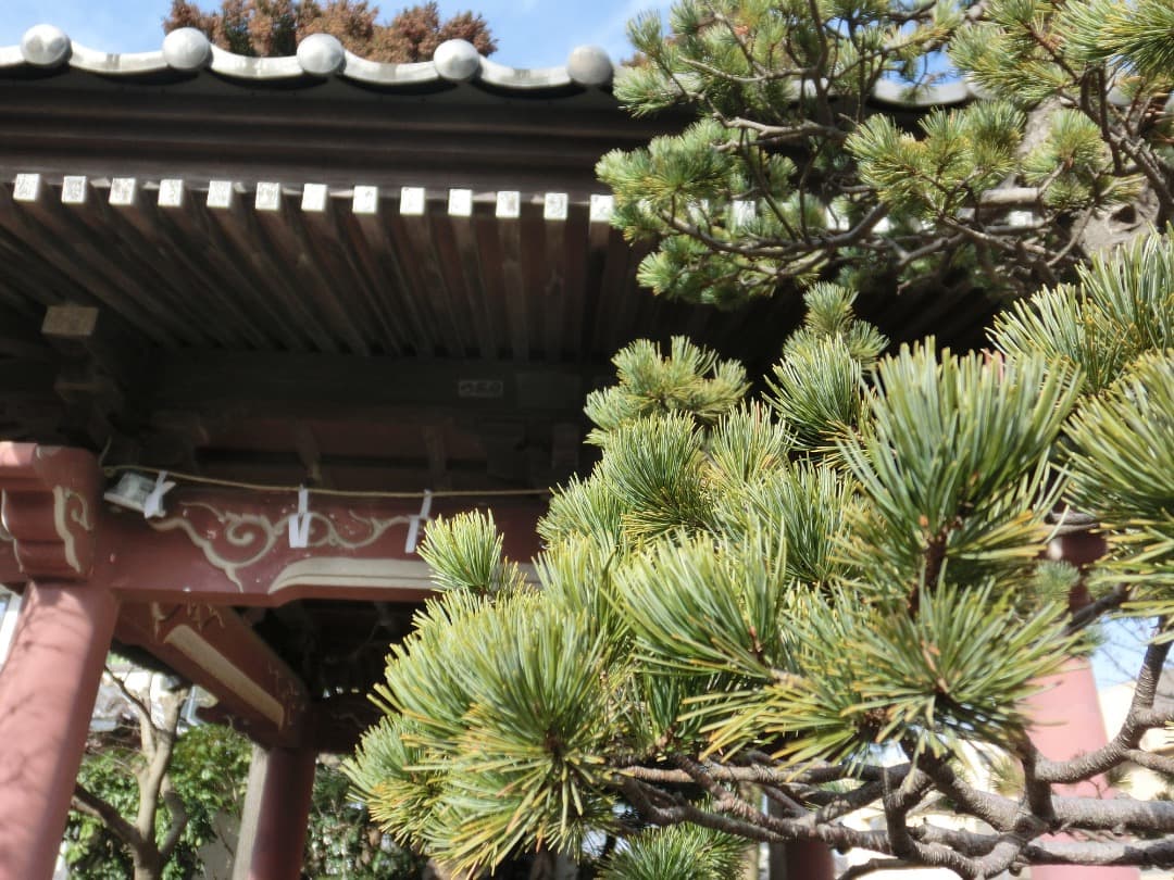 実写美⭕️【動作確認済】カシオ　 CASIO EXILIM EX-ZR10