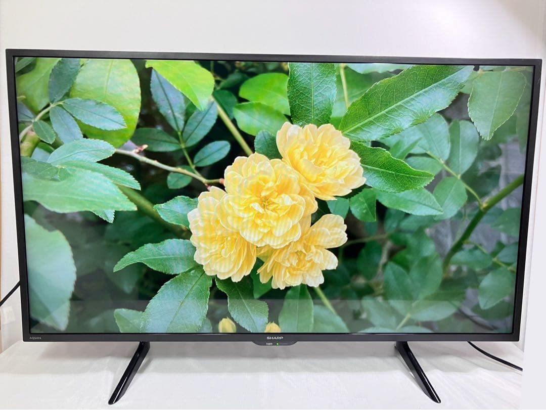 シャープ 42V型 フルハイビジョン 液晶テレビ AQUOS 2T-C42BE1