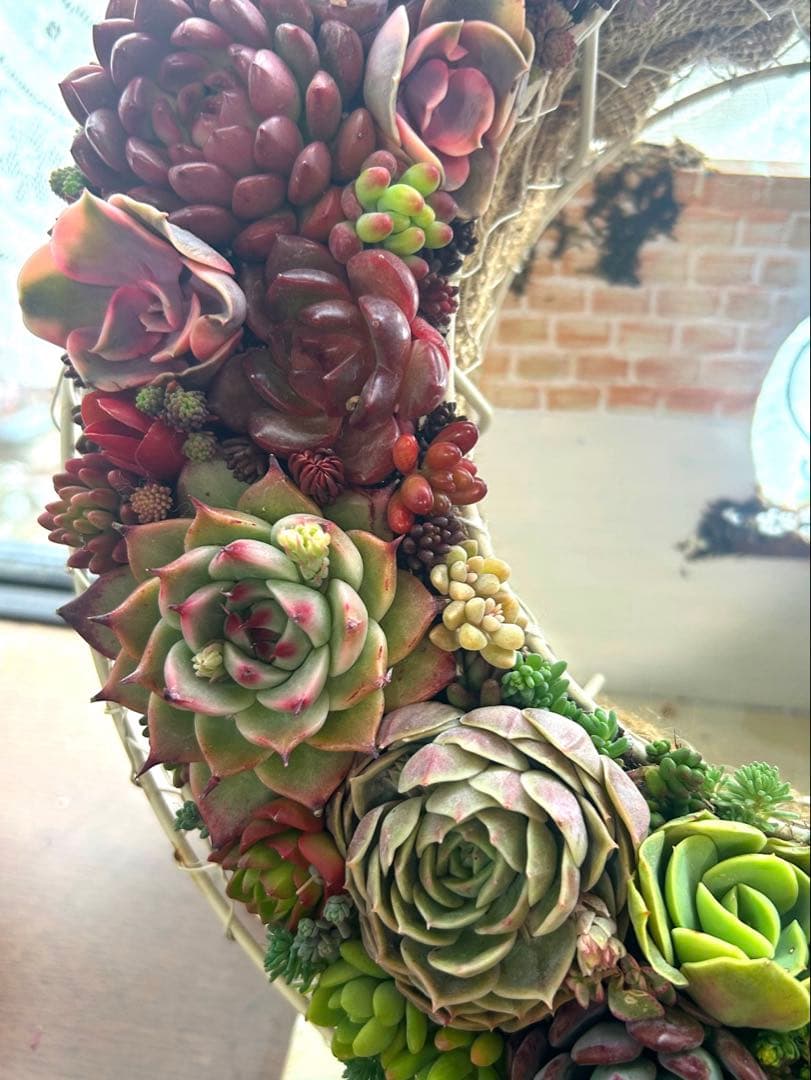 ❤️多肉植物そのまま飾れる❤️グラデーションリース❤️アイアンリース大きめ約35㎝