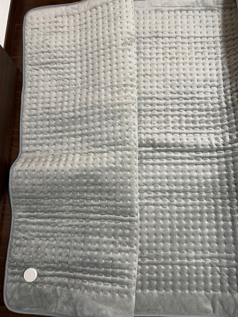 ボディ・フェイスケア DENBA Charge