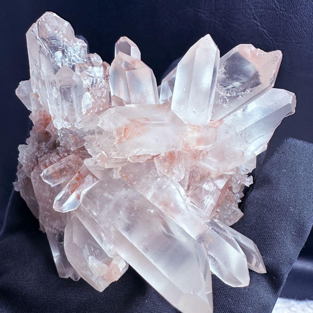 ぽんぽん♪　ヒマラヤクラスター A1168、A1244、A1185