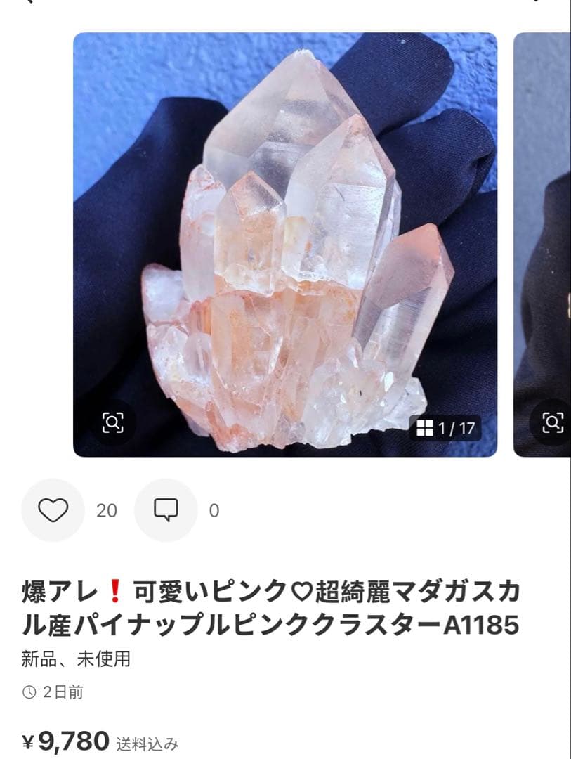 ぽんぽん♪　ヒマラヤクラスター A1168、A1244、A1185