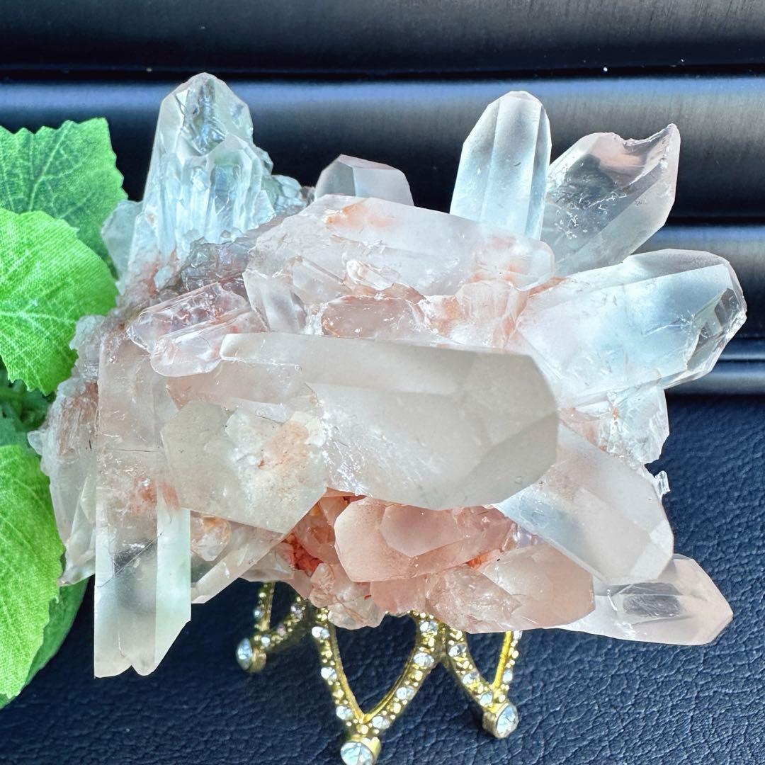 ぽんぽん♪　ヒマラヤクラスター A1168、A1244、A1185