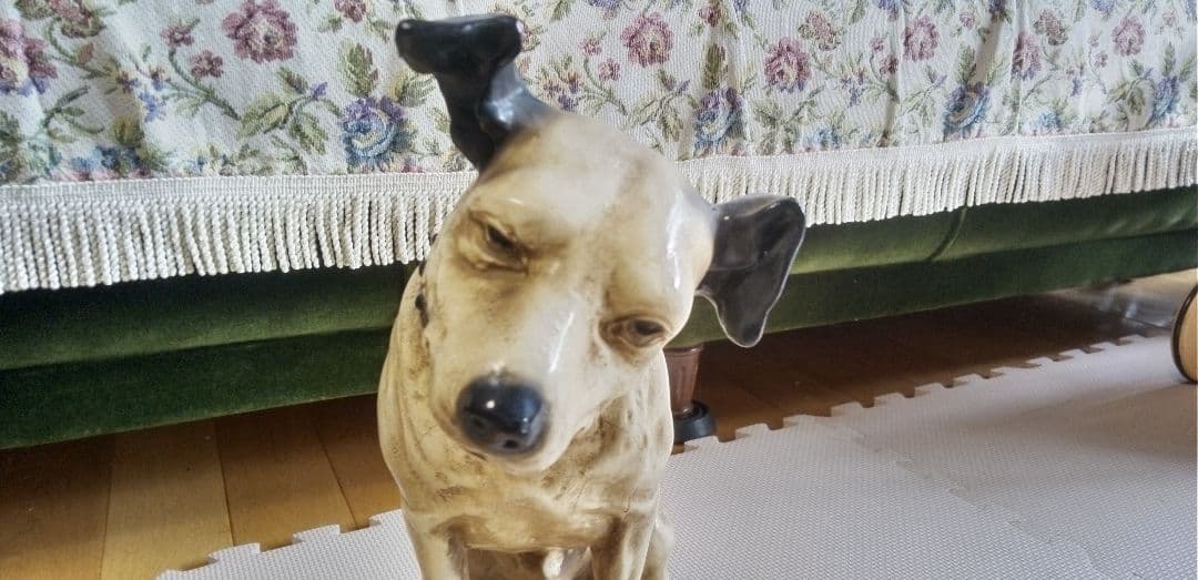 ニッパー犬 陶器製　大きい 　当時置物