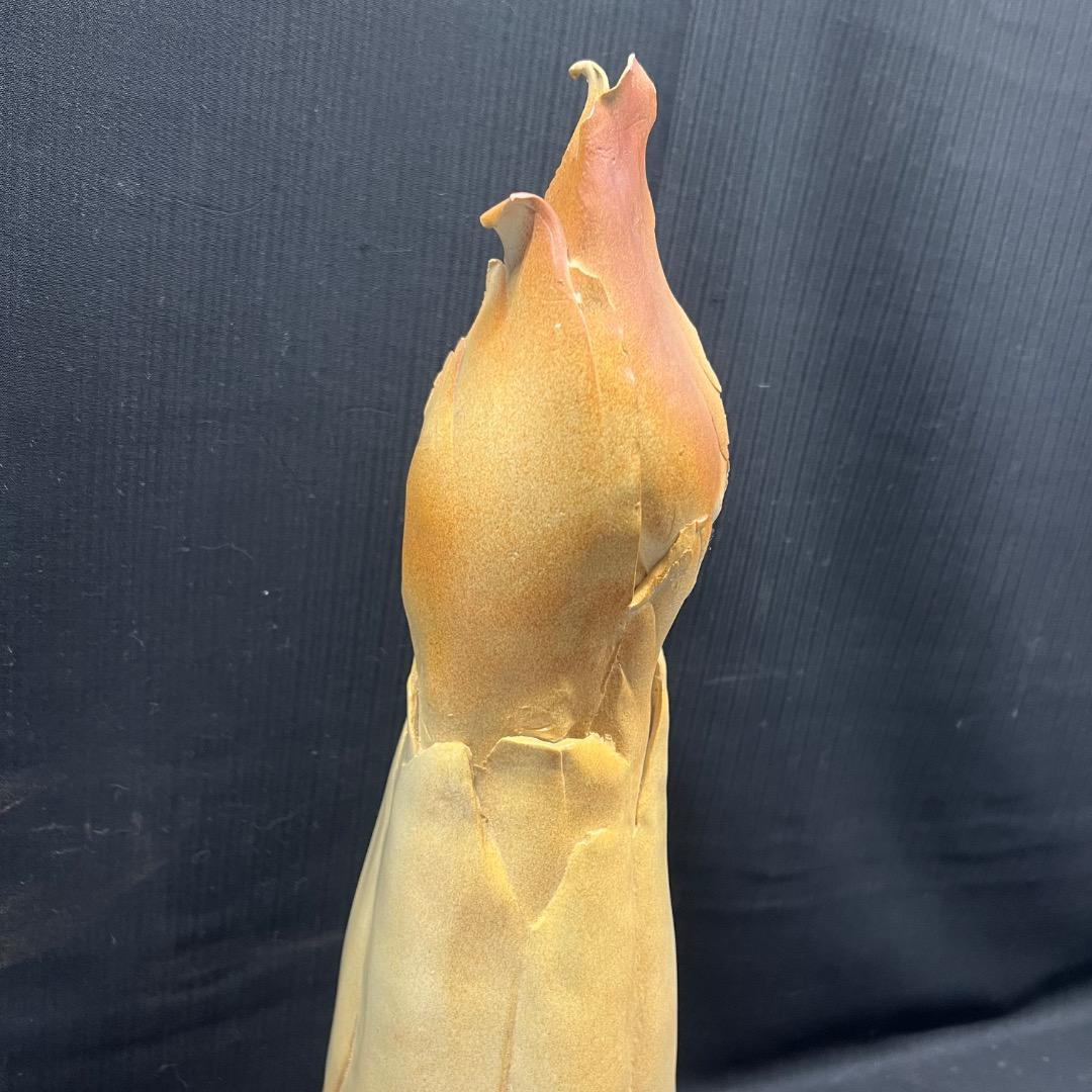 〇J⑦1001 ビンテージ 竹内祥子 陶人形 フィギュリン 女の子