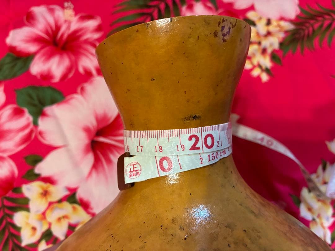 イプ　フラダンス用　楽器