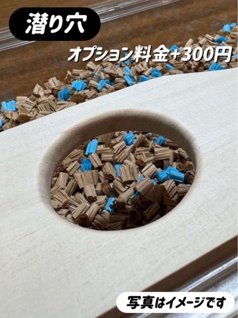 よーオーダーページ グラスハーモニー450カミカミ防止ロフト 階段付属