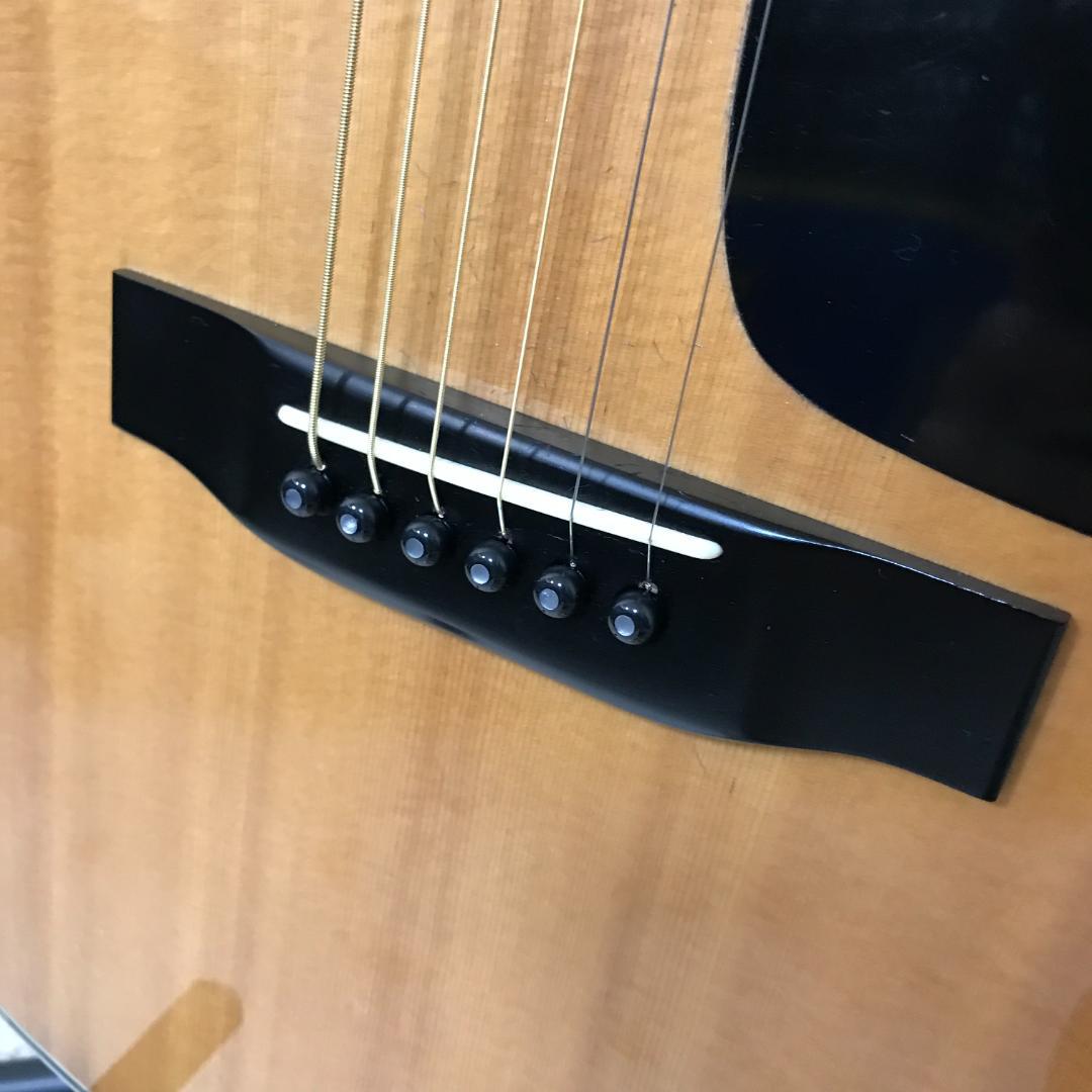 【整備品/良品】MORRIS TF-801 アコースティックギター ハカランダ