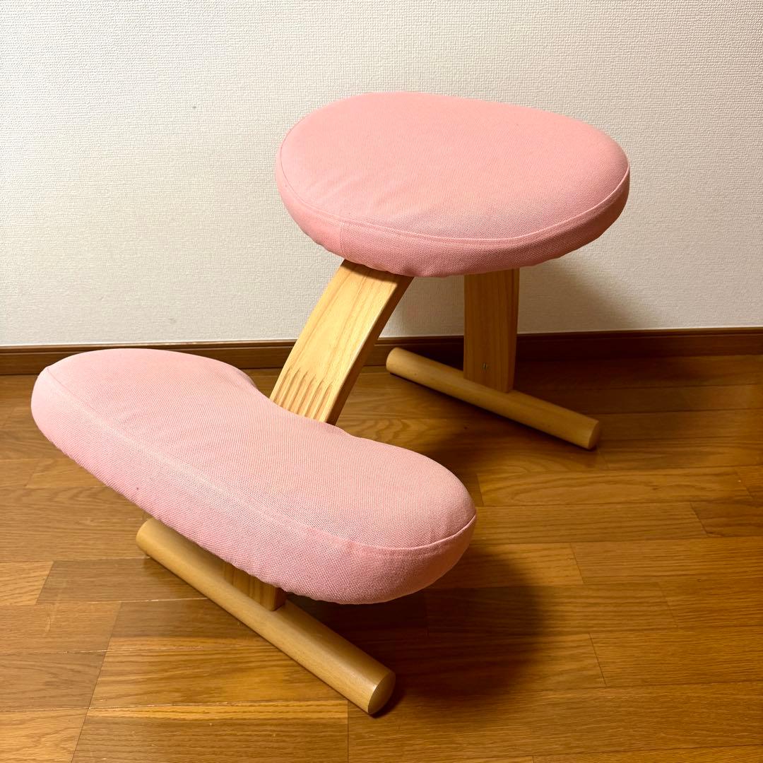 【minipham】 バランスイージー Rybo リボ社 カバー付き