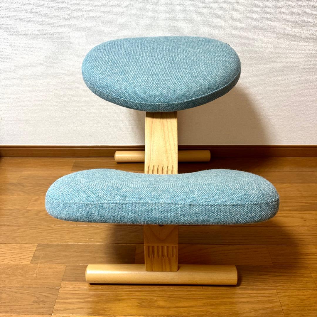 【minipham】 バランスイージー Rybo リボ社 カバー付き