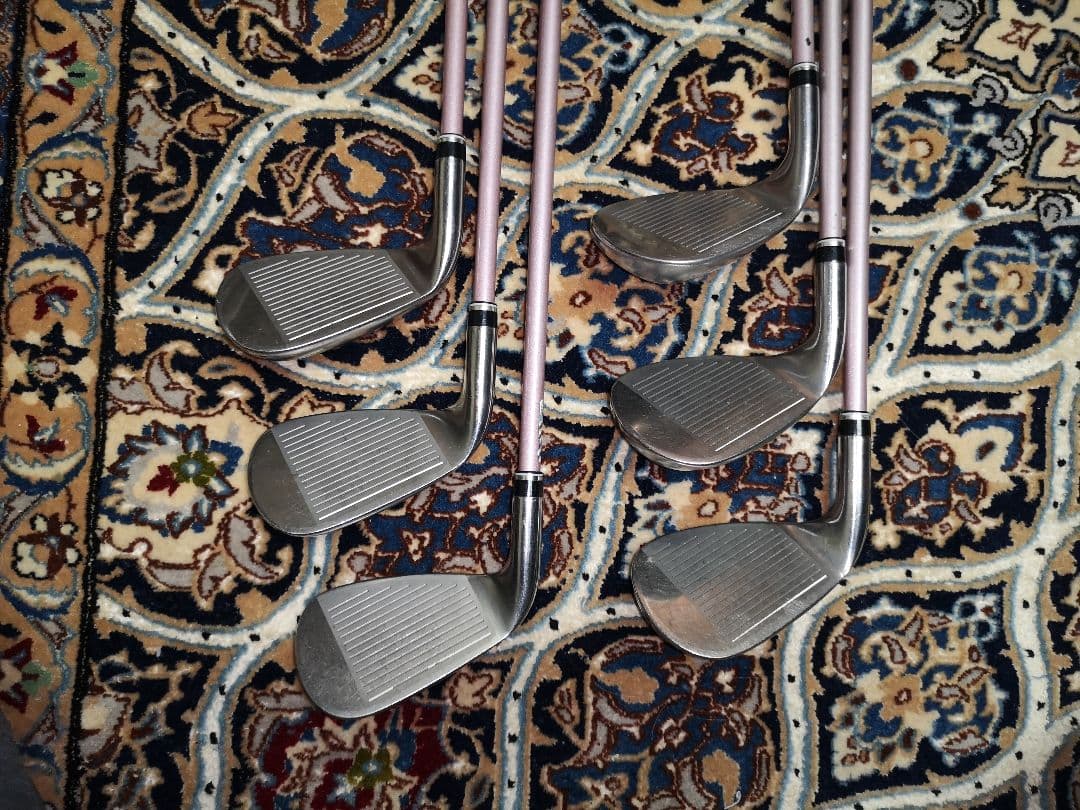 Keroさん検討中ゼクシオ10レディース アイアンセット　Aシャフト