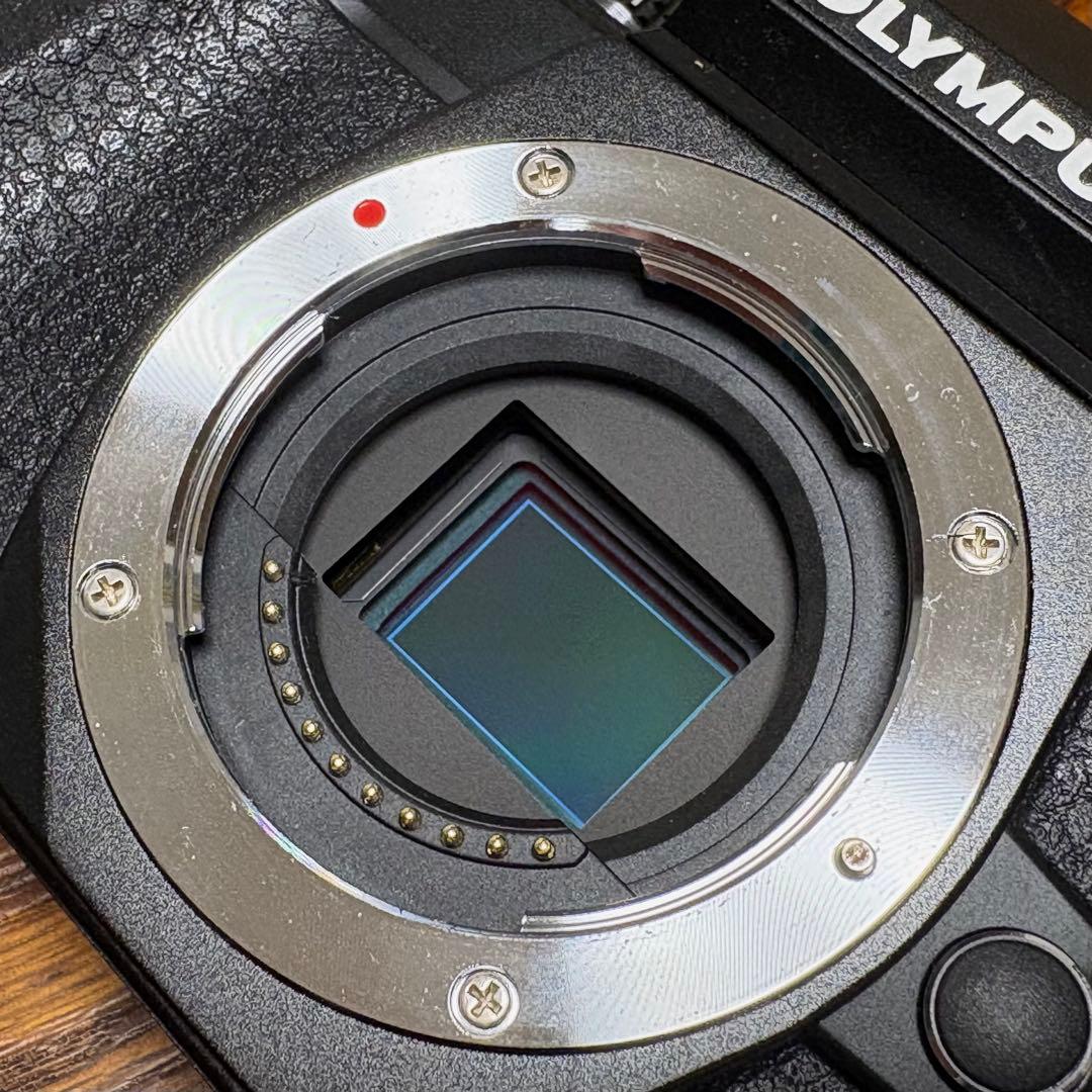 OLYMPUS E-M10 MKⅡ ダブルズーム+30mm F1.4 DC DN