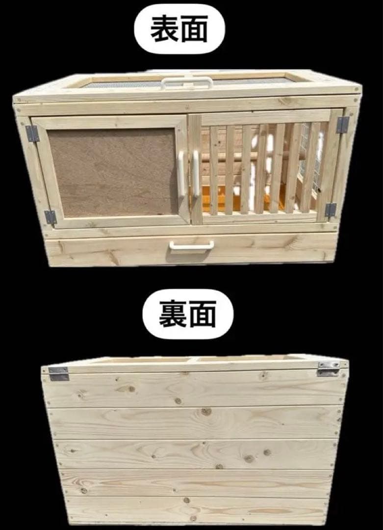 ⭐︎飼育ゲージ⭐︎