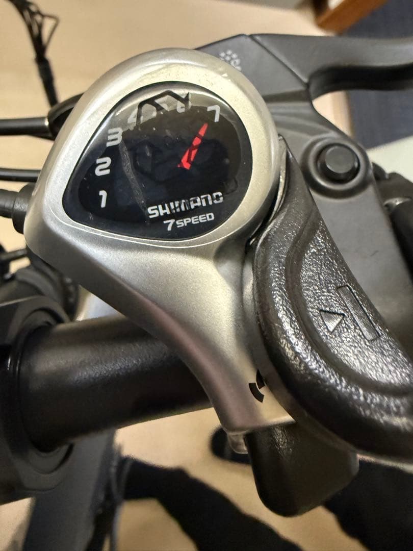 パパピー美品ENGWE JAPAN ENGWEC20