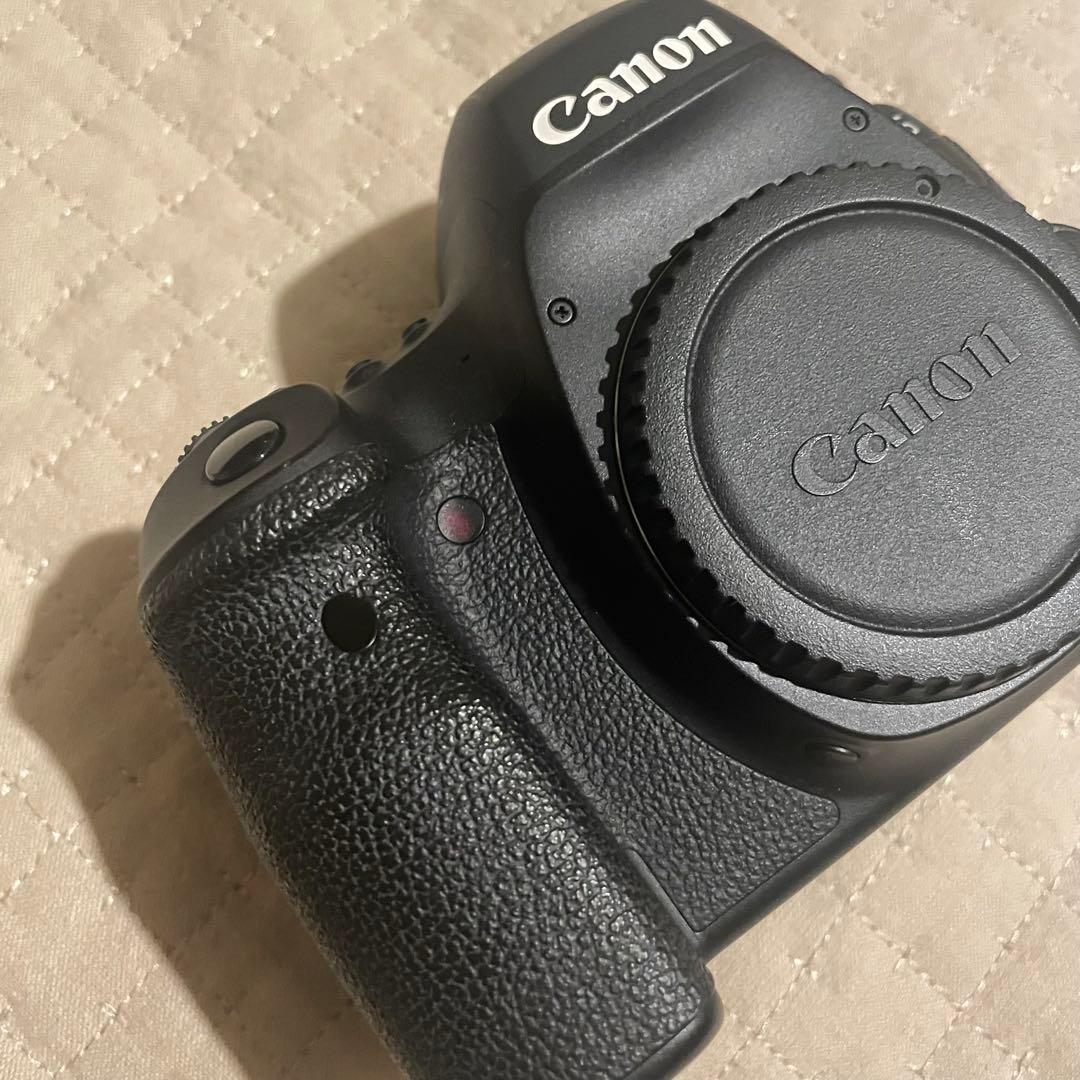 Canon EOS 6D MarkII セット 限定値下げ