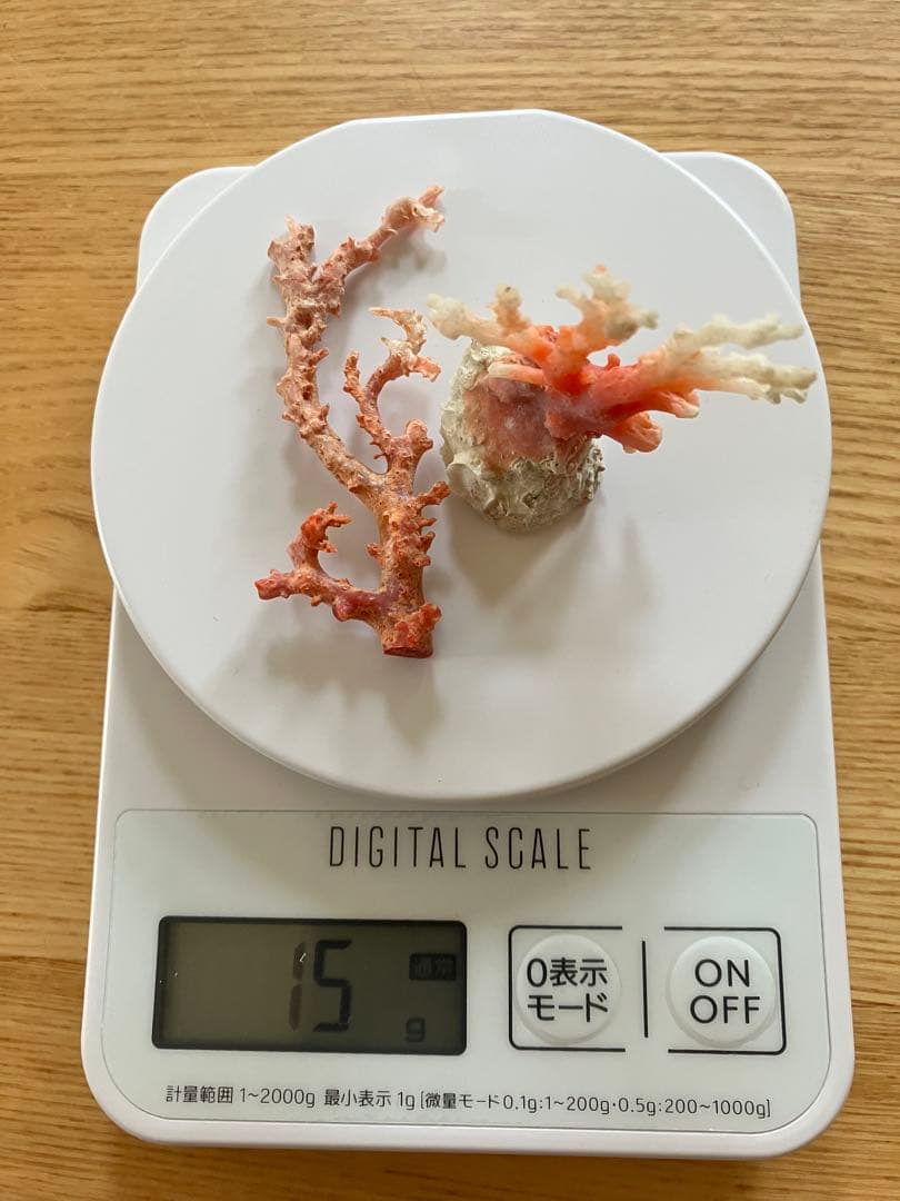 珊瑚　原木　置物　赤珊瑚