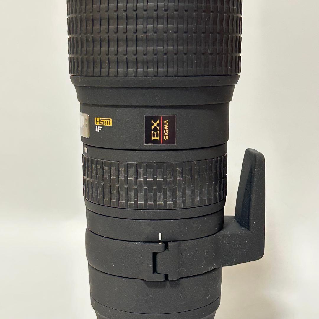 SIGMA APO 100-300mm F4 EX DG HSM ニコン