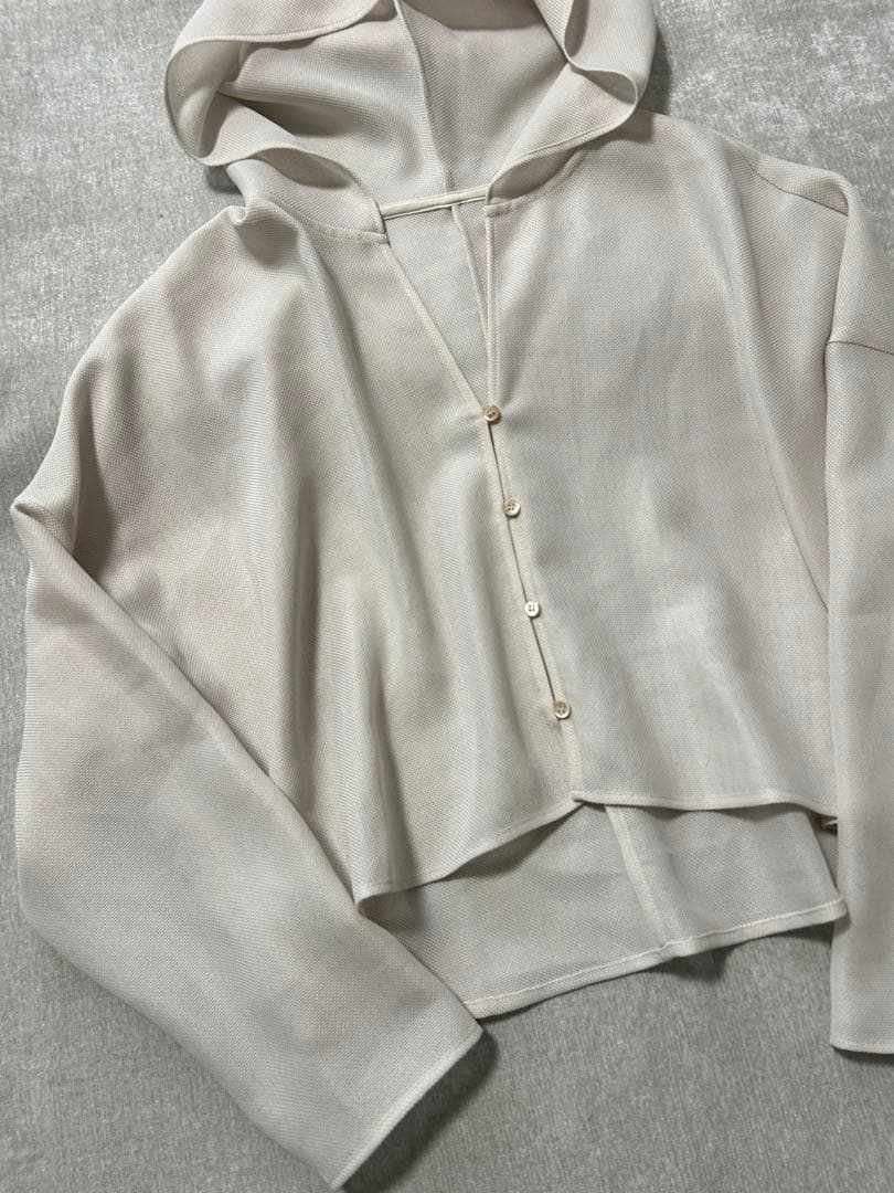 【新品】NOBLE⭐︎ 今季完売　ブリーズメッシュショートフードブラウス