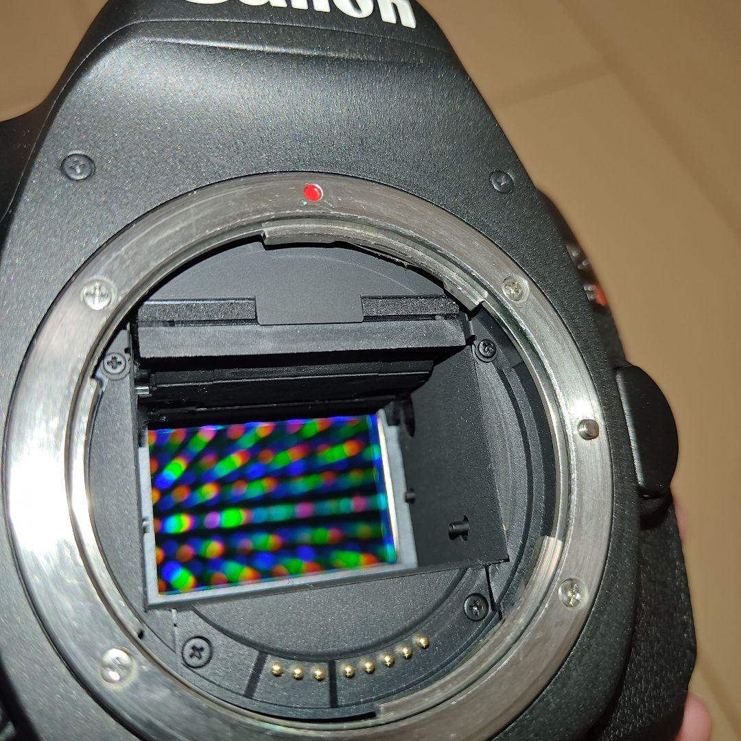 Y*9様 Canon EOS 5DsR デジタル一眼レフカメラ　おまけ付き