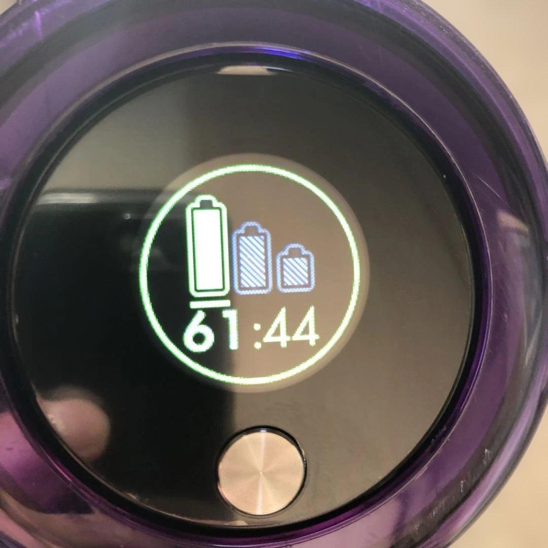 ダイソン V11 fluffy(sv14)オンライン限定ゴールドカラー