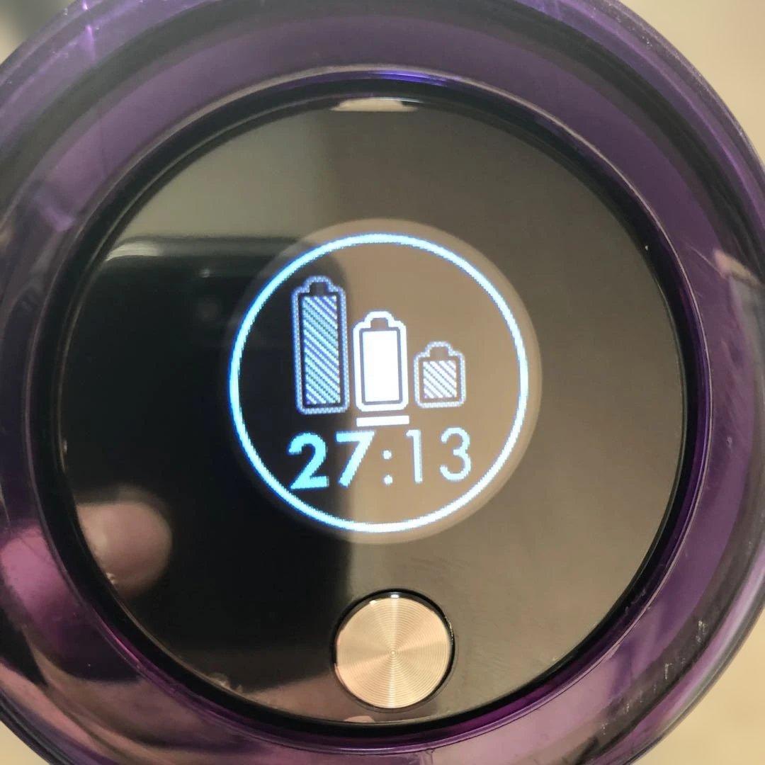 ダイソン V11 fluffy(sv14)オンライン限定ゴールドカラー