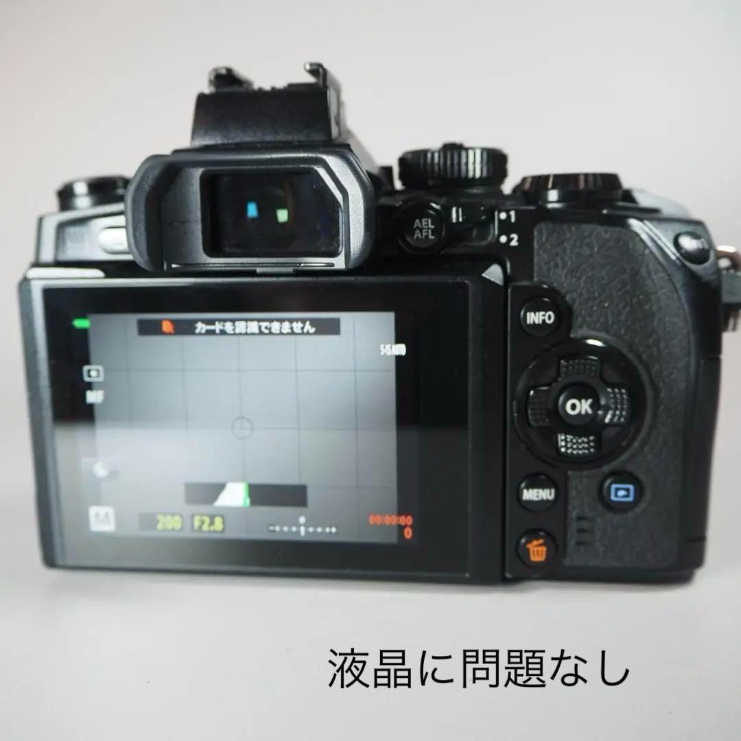 ☆美品☆ショット16,412回　OLYMPUS OM-D E-M1 ＃248