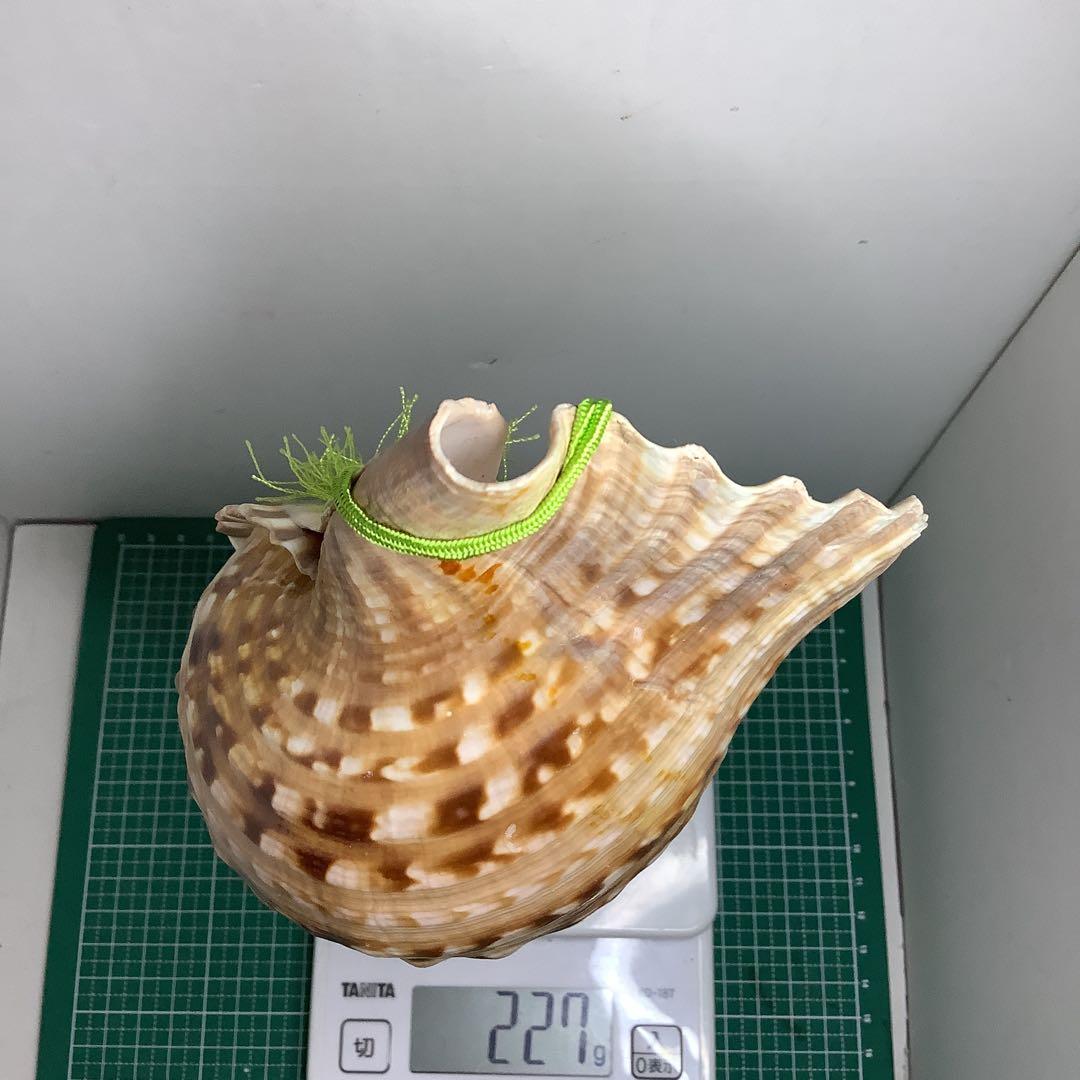 ヤフメリ25・法螺貝・山伏・修験者・戦国武将・日本百名山・布袋寅泰・日本一心