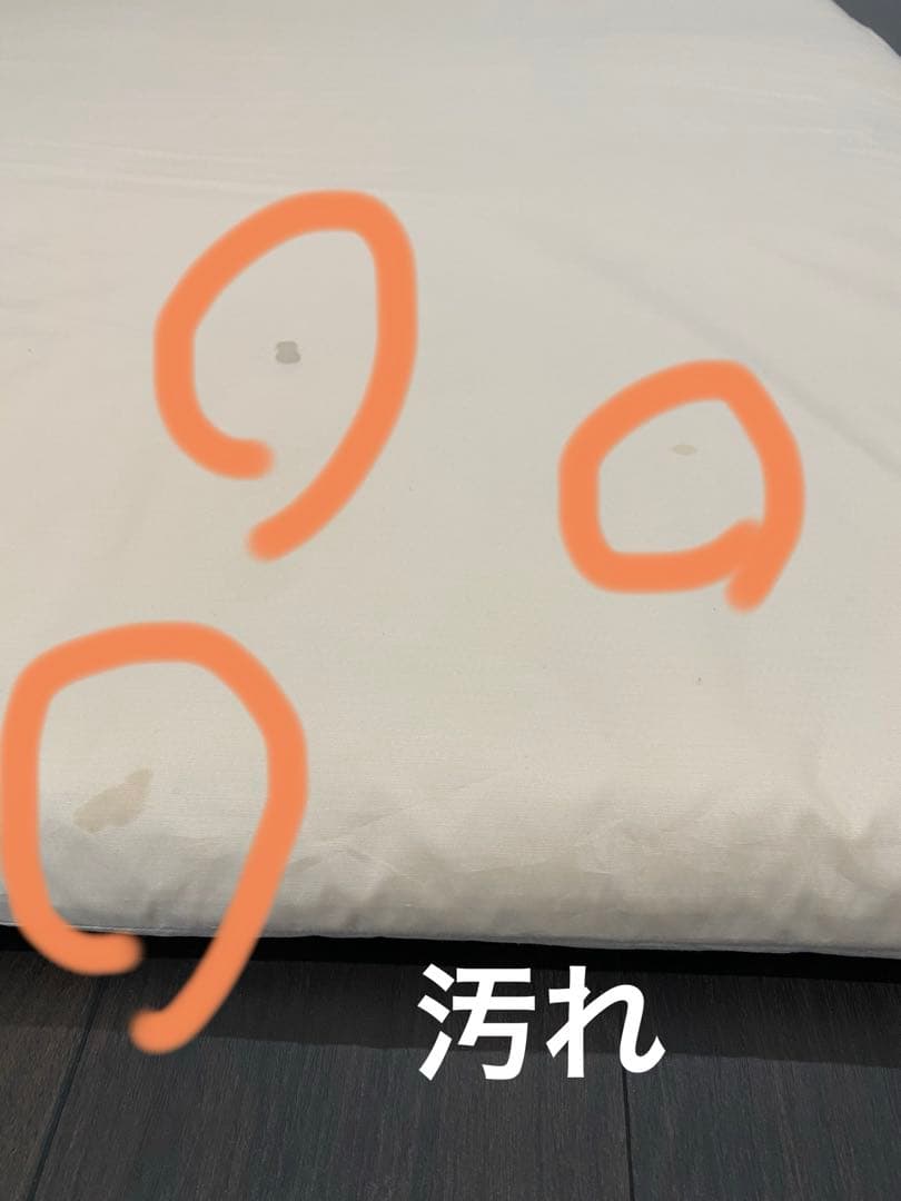 Healing ホルミシスダウン敷マット　シングル カバー付　株式会社ヒーリング