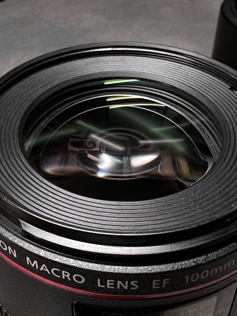 美品 Canon EF 100mm f/2.8L マクロ IS USM