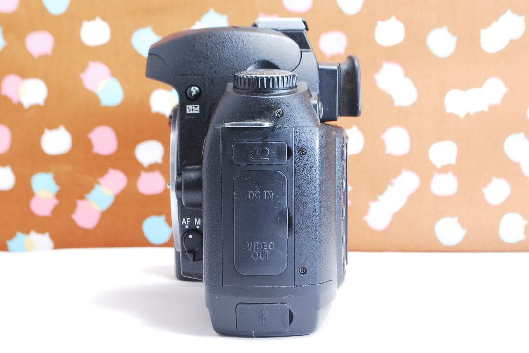 ✨初心者オススメ✨ショット数1205回✨Nikon D70s レンズセット