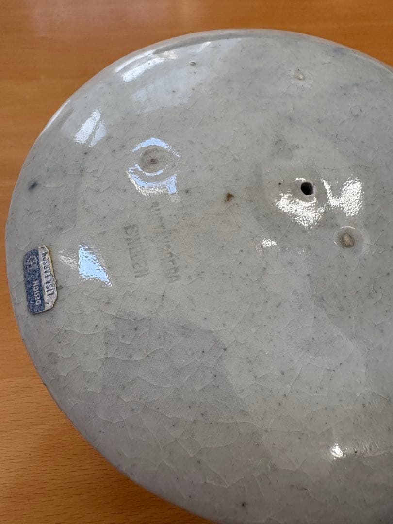 リサラーソン　かめ　亀　カメ　珍しいサイズ