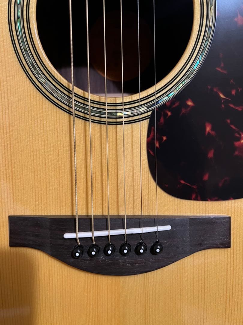 【限定値下げ】YAMAHA LL6 ARE