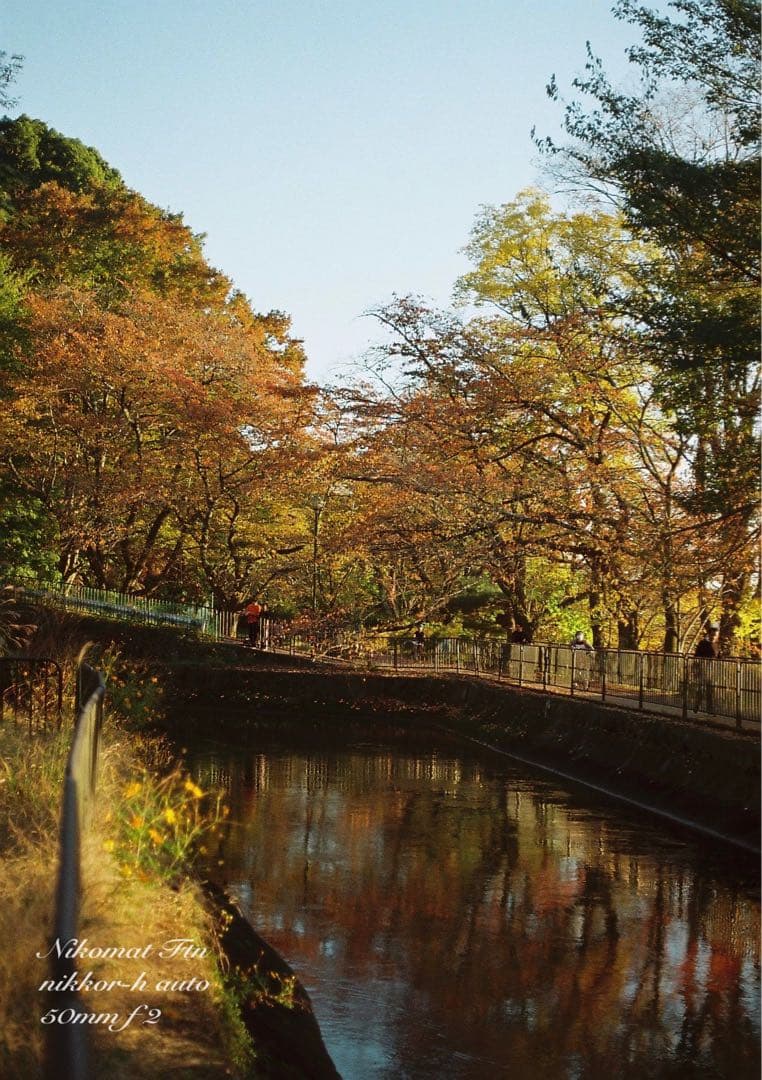 nikon ftn＊black＊50mm f2★完動品＊初期保証＊作例多数！