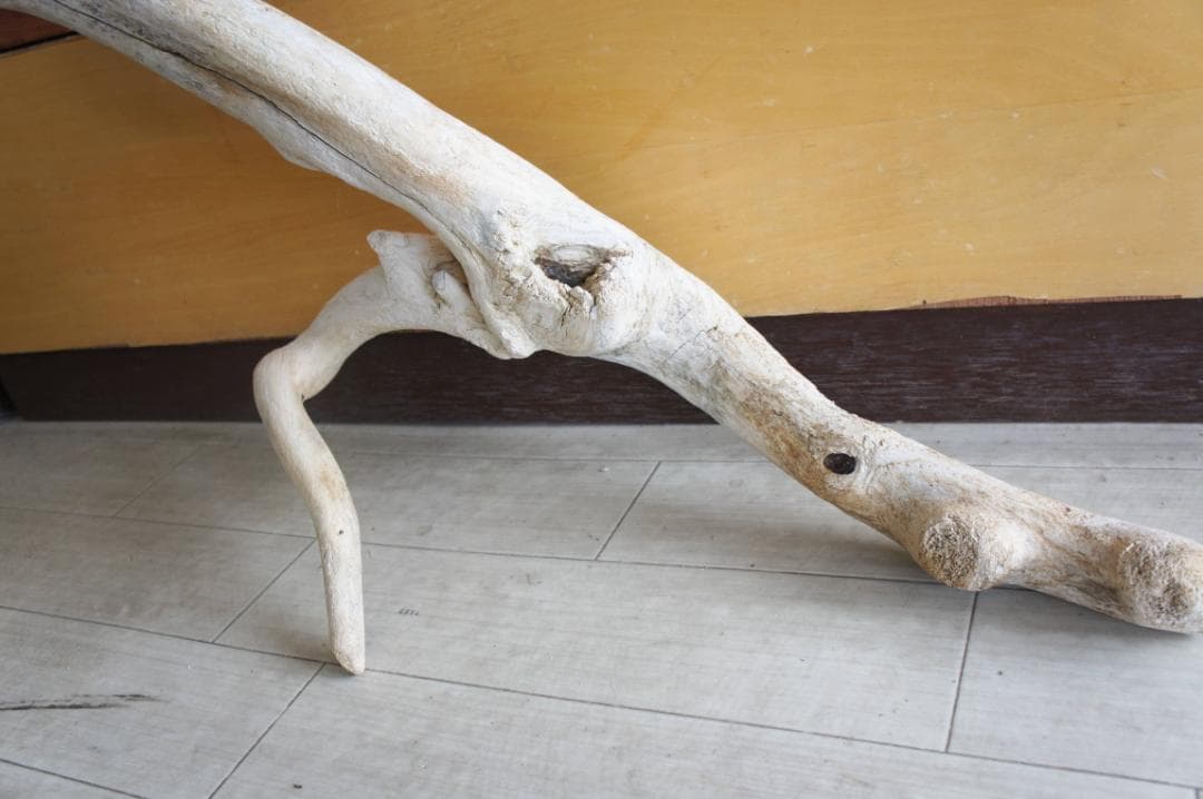 送料無料 流木 インテリア 大型サイズ オブジェ　飼育ケージ　登り木　爬虫類