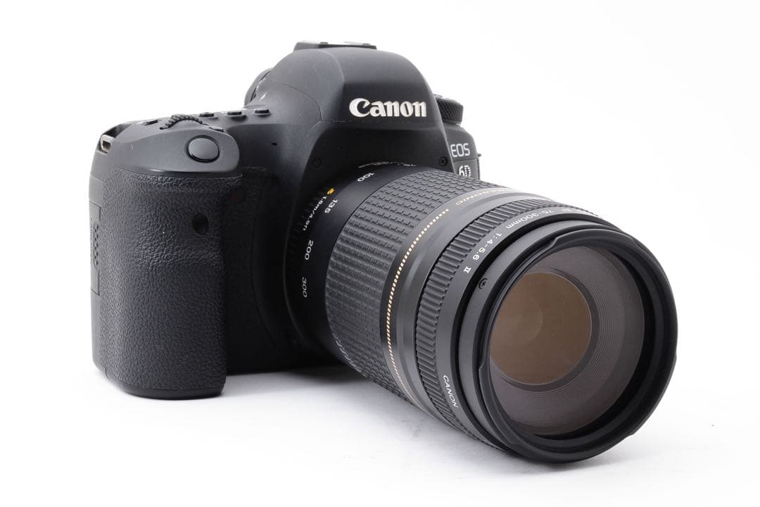 保証付/一眼レフカメラCanon EOS 6D Mark II 望遠レンズセット