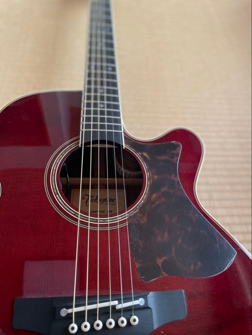 Takamine DMP50S WR アコースティックギター