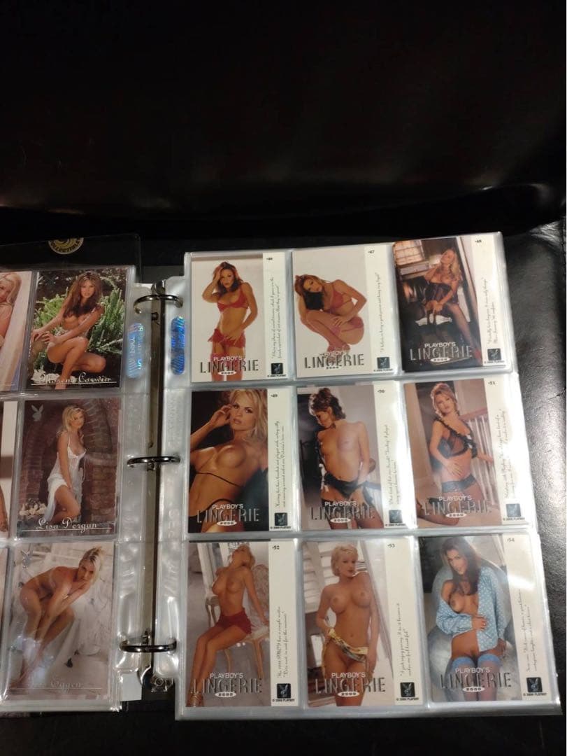 プレイボーイ　トレーディングカード&ケースレア＋100枚以上ペントハウスカード等