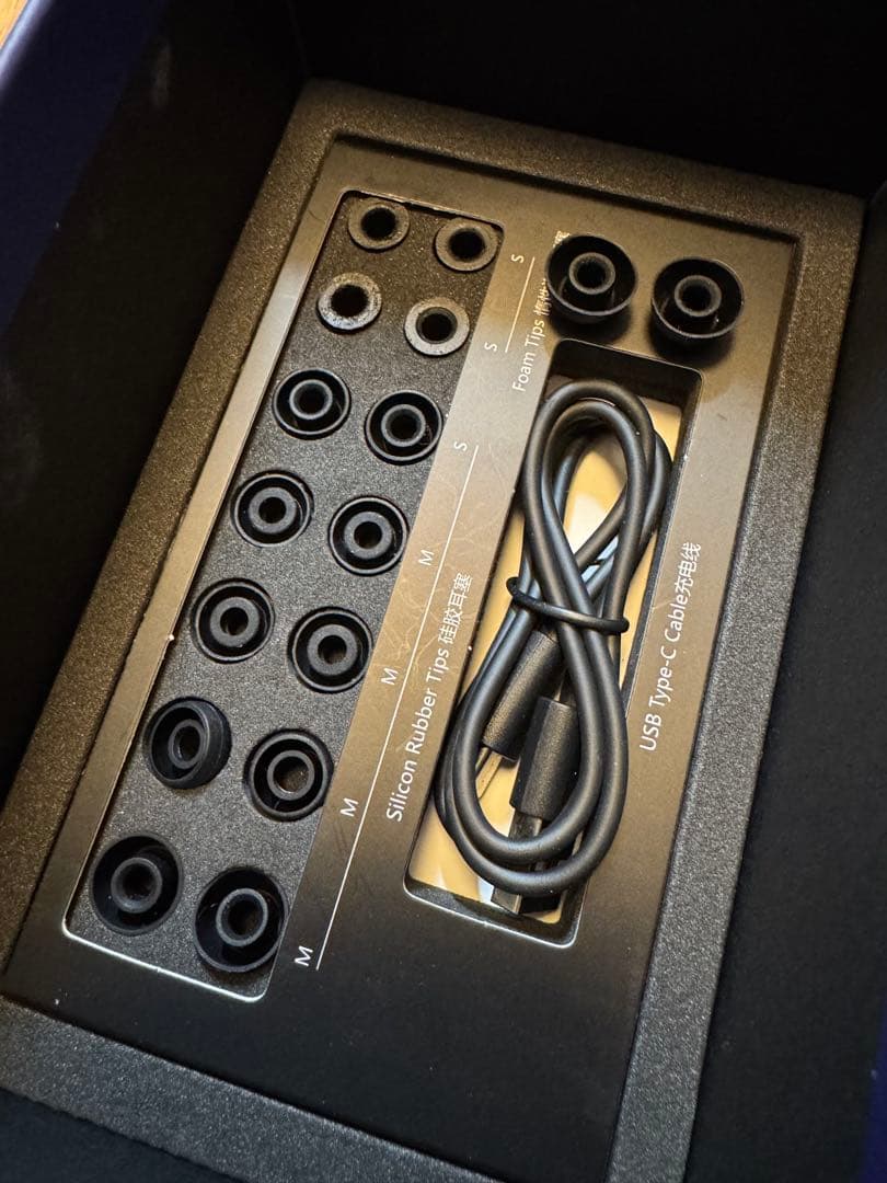 HIFIMAN Svanar Wireless LE ワイヤレスイヤホン