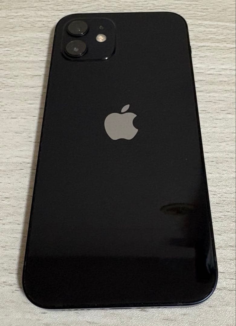 Apple iPhone 【ジャンク品】最終値下げ12 ブラック 12 GB本体