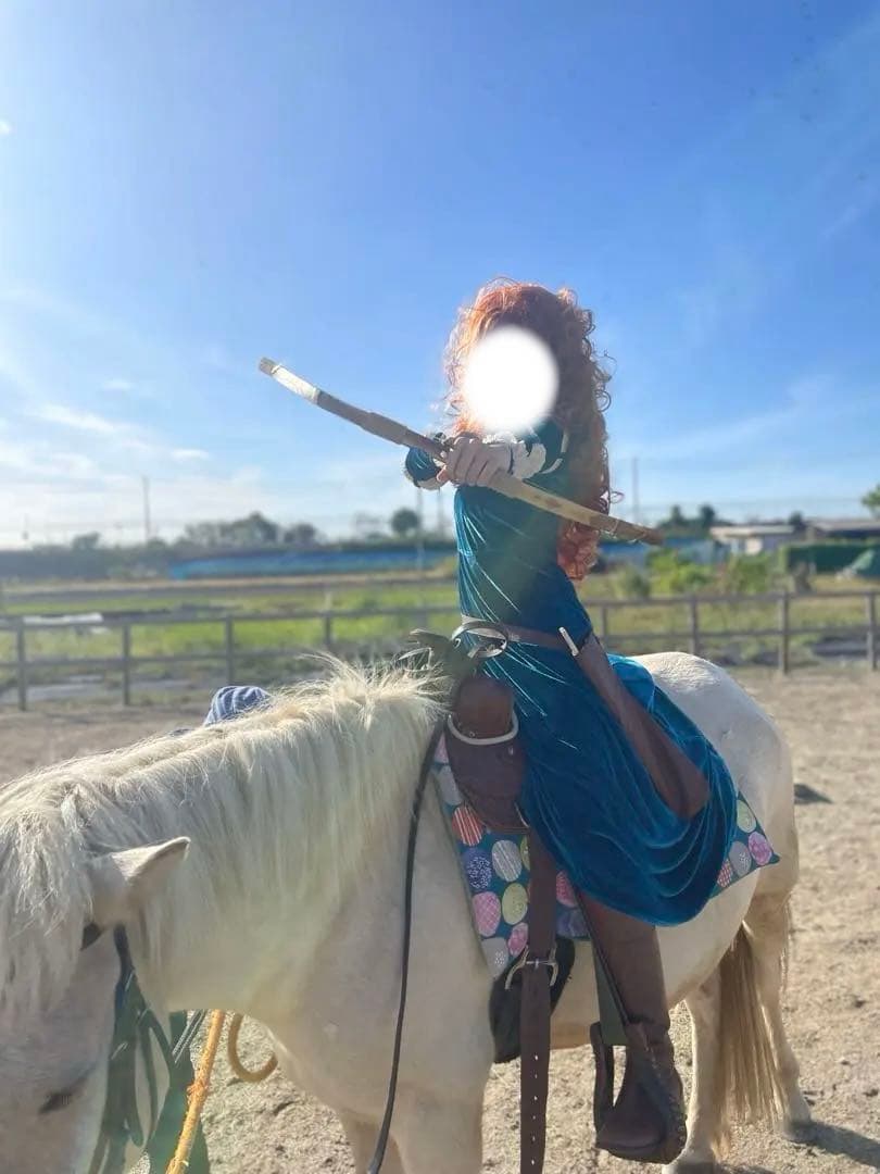 Dハロ　メリダ コスプレ衣装　ウィッグ　小道具付き