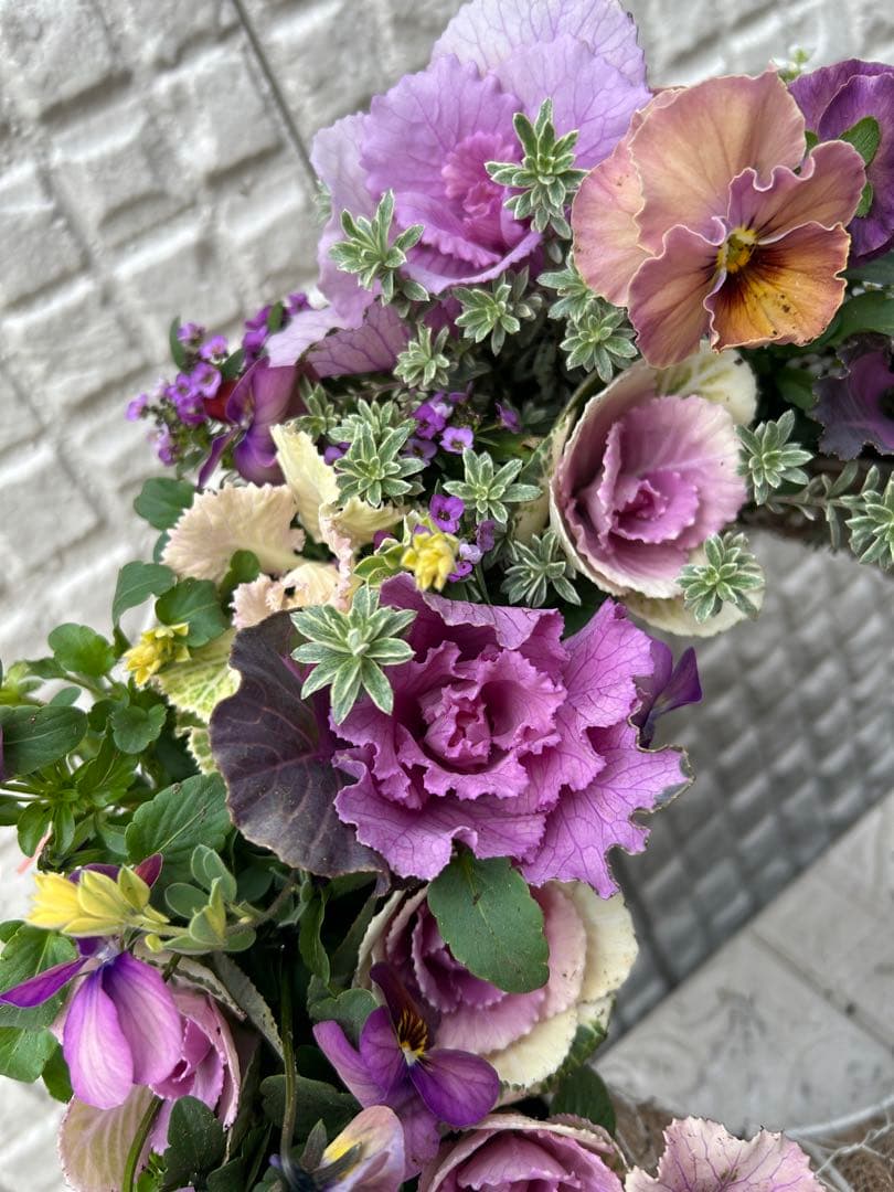 ハボタンとビオラのロマンティックリース