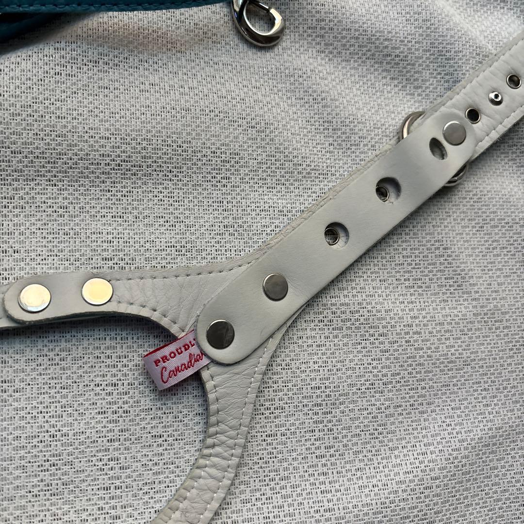 美品バディーベルト&レザーリードセット