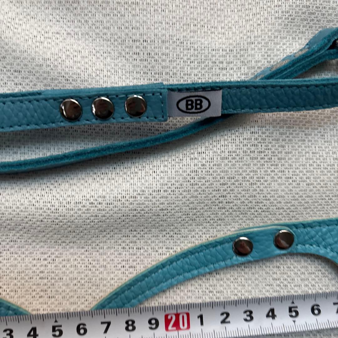 美品バディーベルト&レザーリードセット