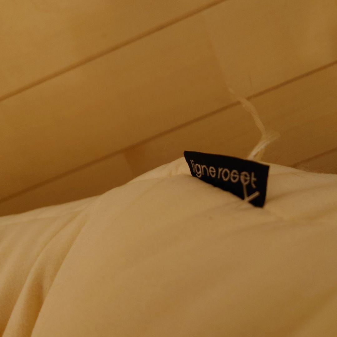 リーンロゼ　カラン　スチール脚　1人掛けソファ　ミルキーホワイト